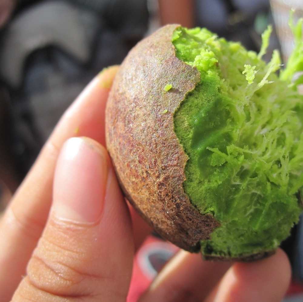 Meet your Posher, Sheikh